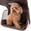 Cage de transport pour animal de compagnie pliable avec fermeture à glissière Pet Life-737007849-736784303