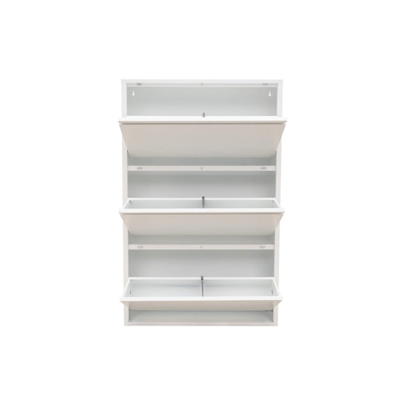 Cathelene 6 Pair Shoe Storage Cabinet, White