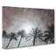 Palm Trees In The Evening - Wrapped Canvas Print-56640986