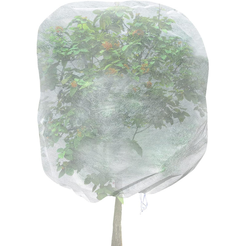 Housse pour plantes à valeur chaude Quarles, H 96 po x l 84 po x P 2 po
