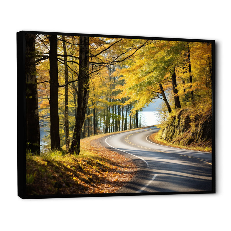 «Autumn's Road Into The Forest III» - art mural route, Cadre flottant noir, H 30 po x l 40 po x P 1,5 po