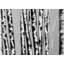 Birches Intersecting - Reproduction matte encadrée noire pour la décoration-1176677732-1176677662