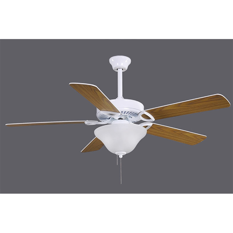 Ventilateur de plafond standard à DEL à 5 pales de 42 po avec chaînette et ensemble d'éclairage inclus Ragnar, 52 po