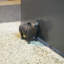Cochon en fonte Bordovice-554137534-554137473