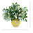 Mixed Budding Stems in Decorative Vase