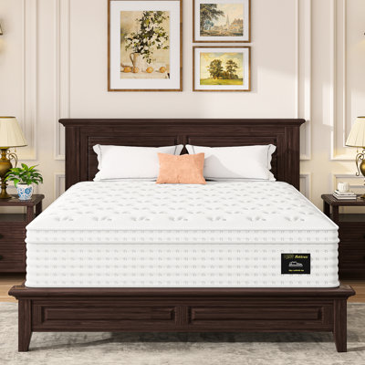 Très grand matelas 14 po, fibre de verre, mousse à mémoire de forme et ressorts ensachés pour alignement de la colonne vertébrale, soulagement de livraison dans une boîte roulée, s'adapter aux styles de sommeil