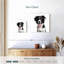 Border Collie-109396117