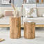 Ensemble de 2 tables basses