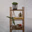 Suri Terracotta Planter Box