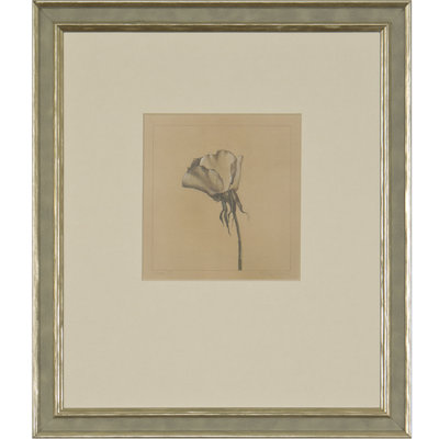 Rose III Print by Daughdrill