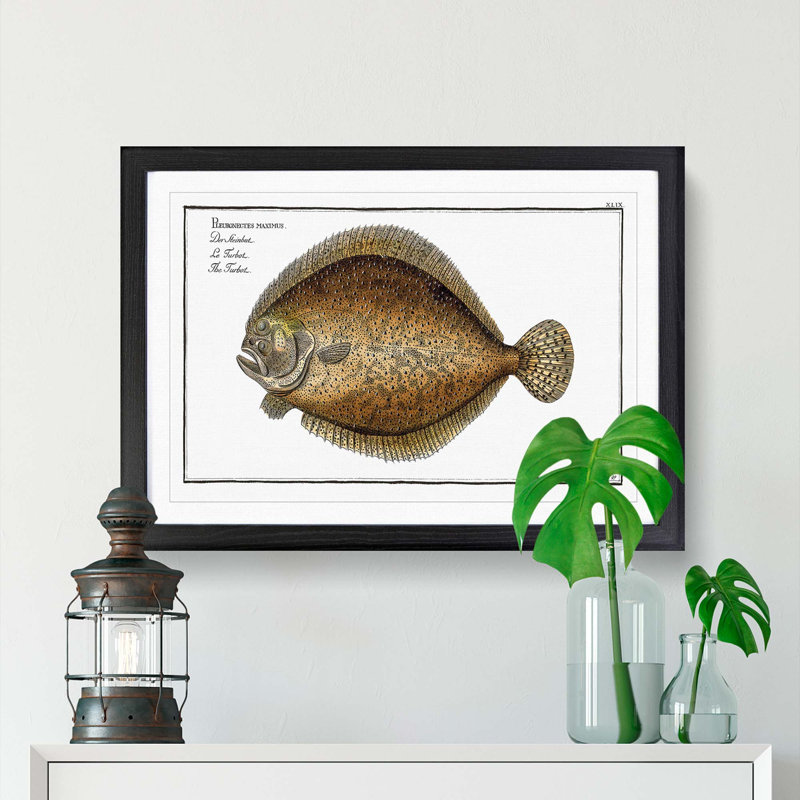 Turbot Fish by M.E. Bloch - Framed Print, 48cm H x 65cm W x 2cm D, Black Framed