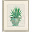 Aloe Pot 1 Print