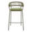 Daejon Skye Barstool (Set Of 2) Green