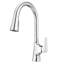 Pfister Norden 1-Handle Pull-Down Kitchen Faucet-50482549