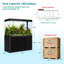 Réservoir d'aquarium 50 gallons-62932843-64523152