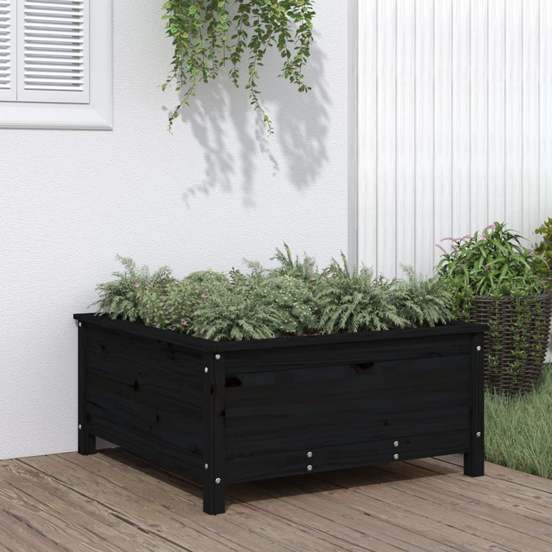 Bojana Wood Pot Planter, Pine, 39cm H x 82.5cm W x 82.5cm D, Black