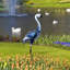 Statue de jardin Jovanta Crane