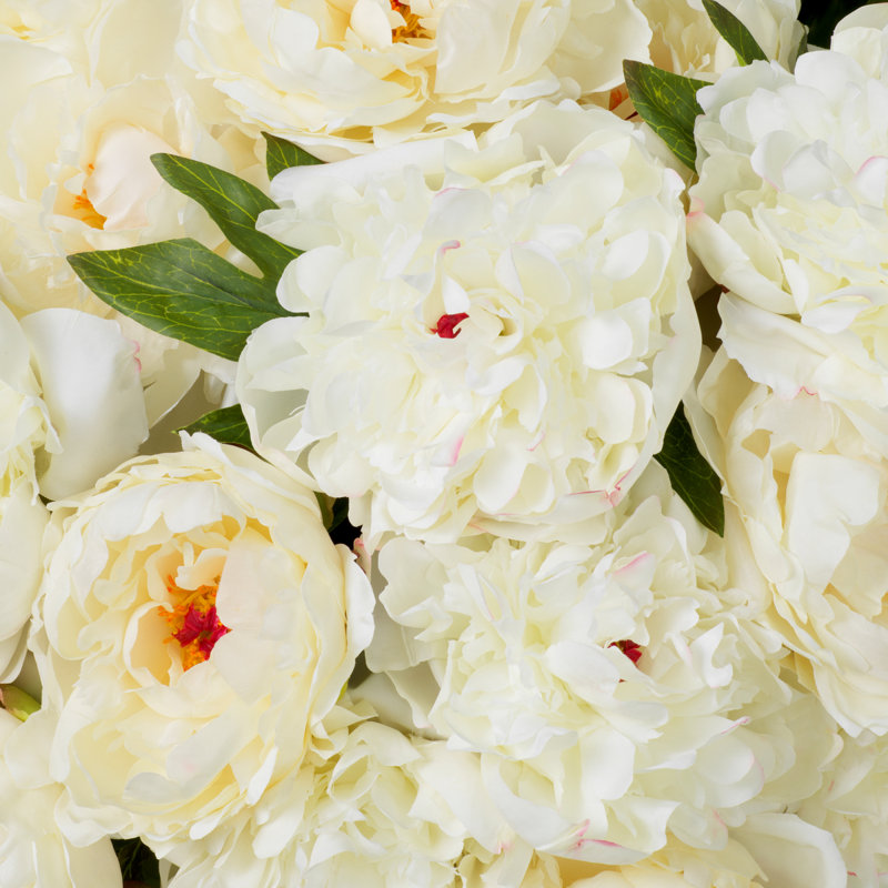 Bouquet Of Peonies Pink Tones Real Touch 48 Pcs/2 Varieties, White