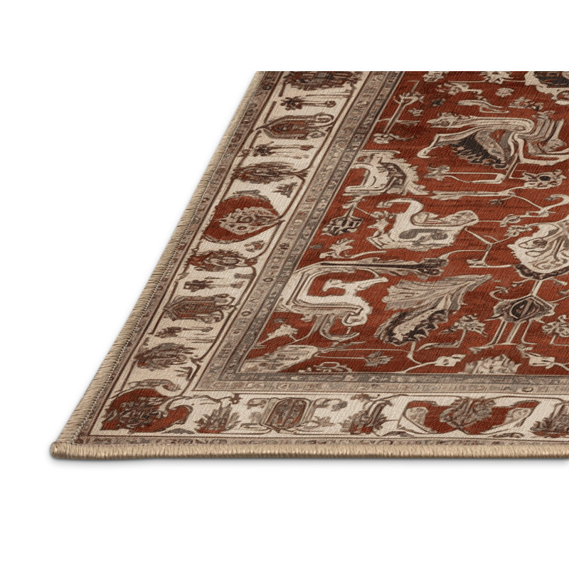 Tapis brun lavable à la machine, Rectangle 6 pi x 9 pi