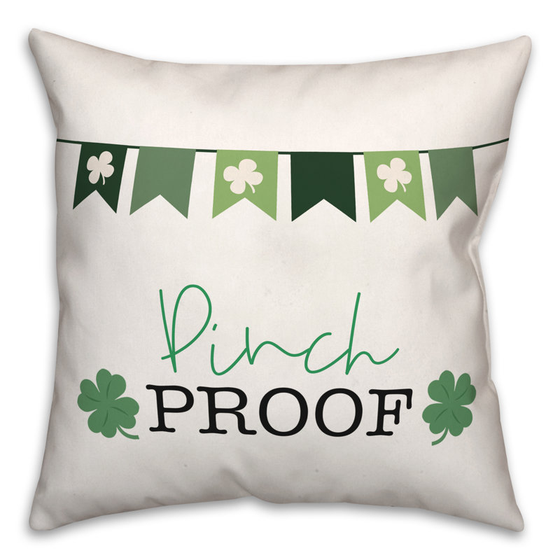 Coussin Pinch Proof Banner 3, 18 po x 18 po