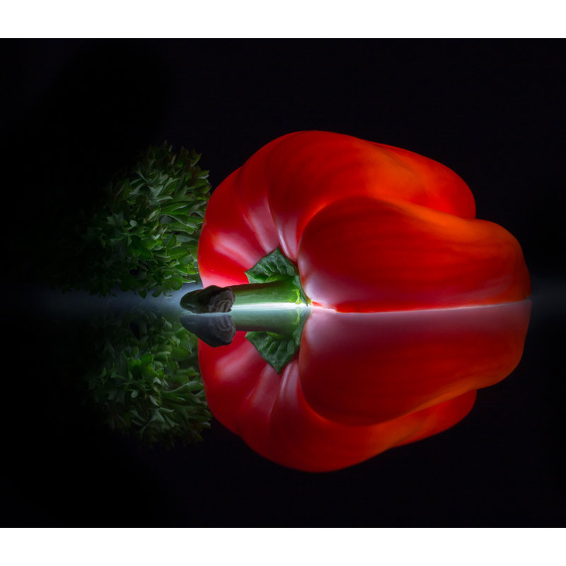 Wrapped Canvas Print, 76.2 cm H x 50.8 cm W