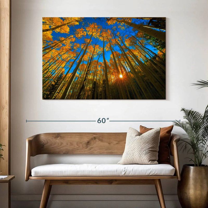 Alvord Birch Forest Sunburst, H 32 po x l 48 po