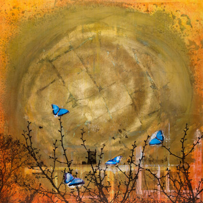 Tracy Silva Barbosa - Wrapped Canvas Print