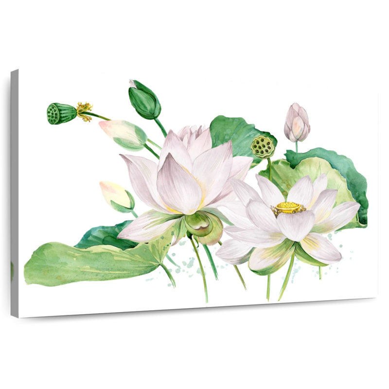Harnek Lotus en herbe