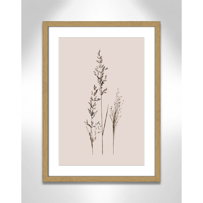 Delicate Stems I by Carol Robinson - Single Picture Frame Print -  Birch Lane™, 126B16DA09714FE0893555BF31DB953E