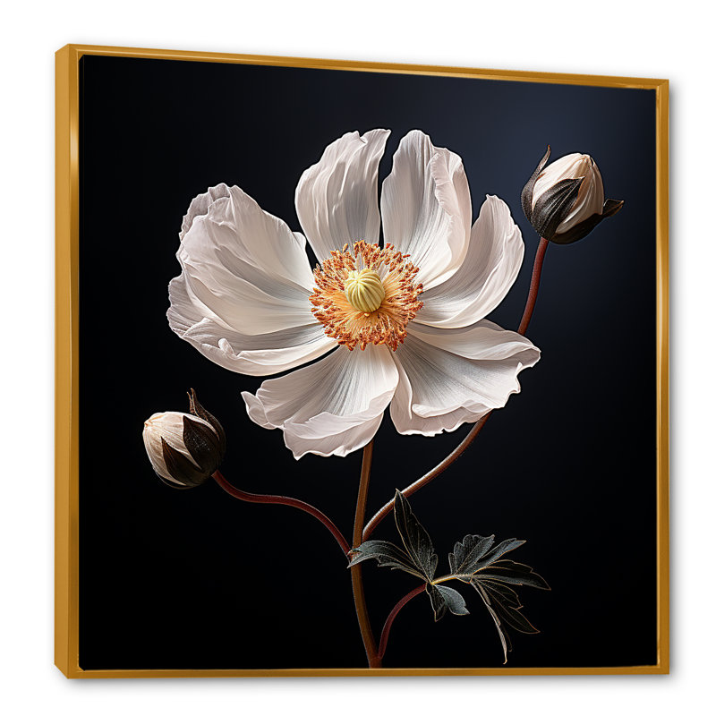 Sunny Ranunculus Dreams I sur toile, H 30 po x l 30 po x P 1 po, Cadre flottant doré