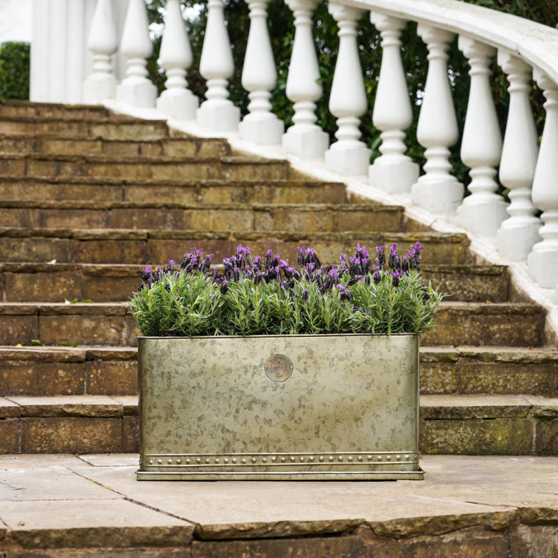 Kew Regency Outdoor Planter, Aged Brass, 30 cm H x 62 cm W x 34 cm D