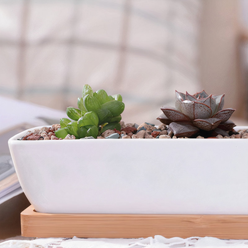 Sarah-Beth Pot Planter