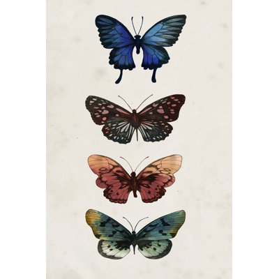 Fairy Study II