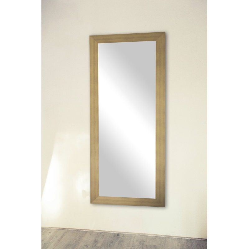Miroir pleine longueur Conah, 63 po x 25 po