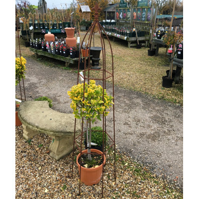 Amina Steel Obelisk Trellis