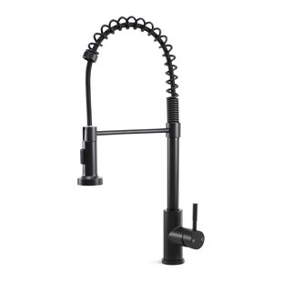 Plumb Tech Pull Down Kitchen Faucet