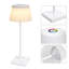 Ahlanni Metal Table Lamp