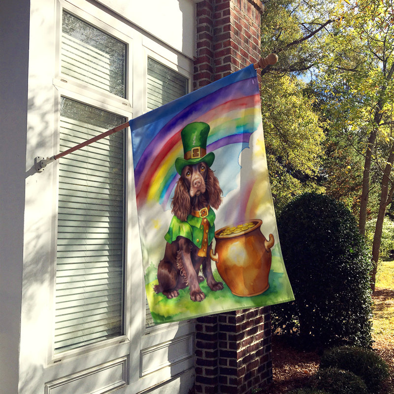 Drapeau double face en polyester H 40 po x l 28 po St Patrick's Day House
