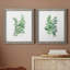 Eucalyptus I - ensemble de 2 reproductions d'art sur toile-2055588298-2055588299