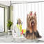 Ensemble de rideau de douche et crochets yorkie-44332148