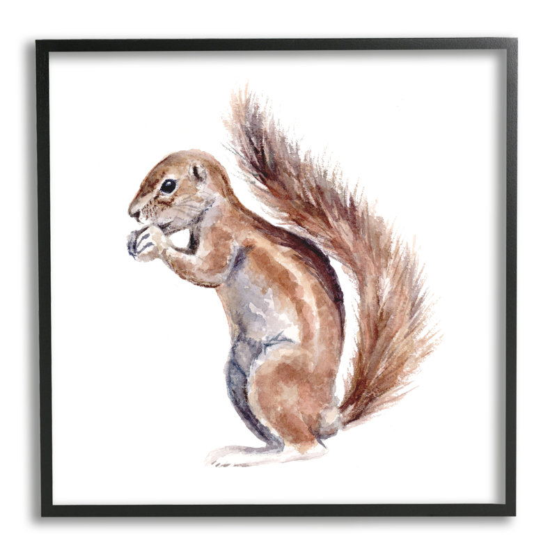 «Baby Squirrel Kids» Wild Animal par Fox Hollow Studios - Peinture, H 24 po x l 24 po x P 1,5 po, Giclée encadrée noir minuit