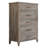 Macrae 5 Drawer 31.3" W Chest