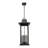 Hannha 6 Light Outdoor Chain Mount Ceiling Fixture