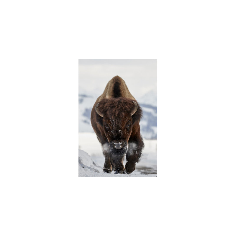 Wrapped Canvas Print, 50.8 cm H x 76.2 cm W