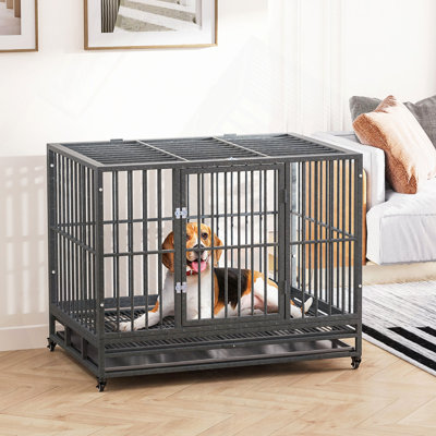 Cage pour chien en cage de 43 po avec roues verrouillables, porte double et plateau amovible, gris