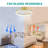 Jacia 20'' Ceiling Fan with LED Lights