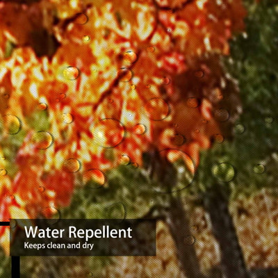 Autumn Falls Spectacular Fall Colors Leaves Shower Curtain with 12 Hooks
