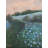 " Front Row Seat " by Dina Gardner-1218962743-1254750690