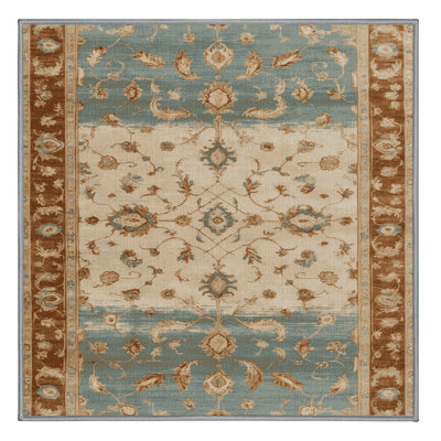 Machine Washable Overdyed Brown Area Rug