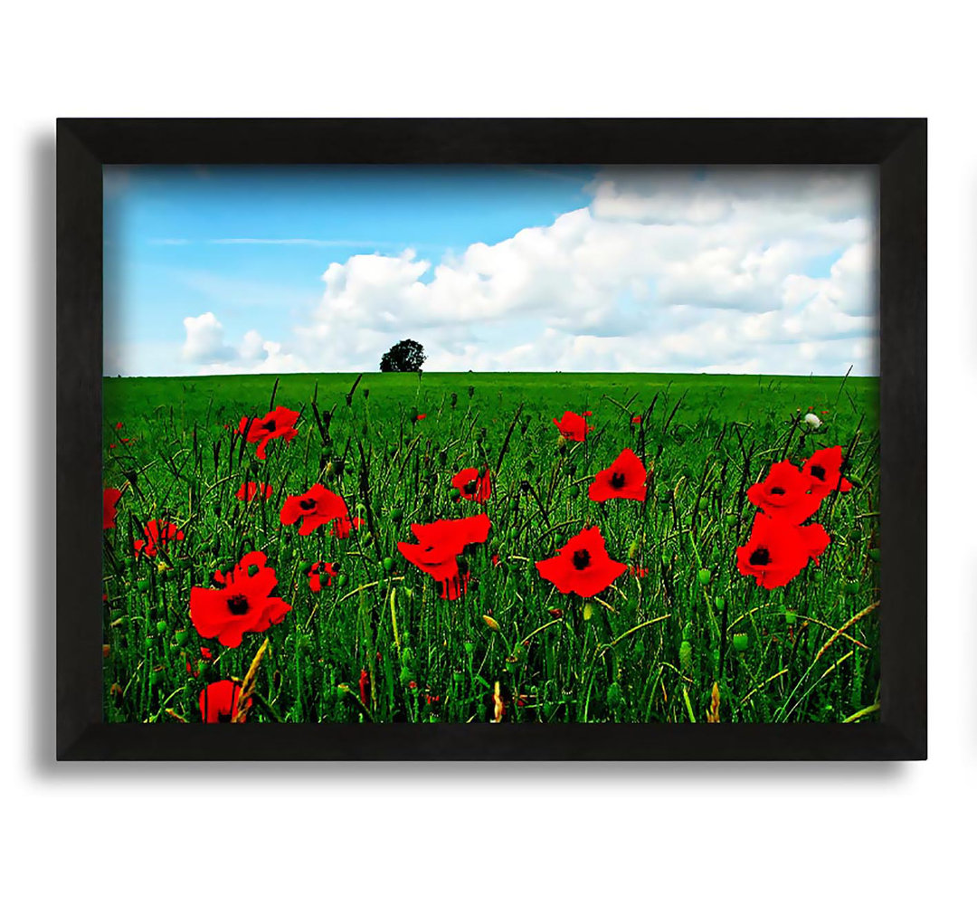 Gerahmter Kunstdruck Poppy Fields On A Cloudy Day